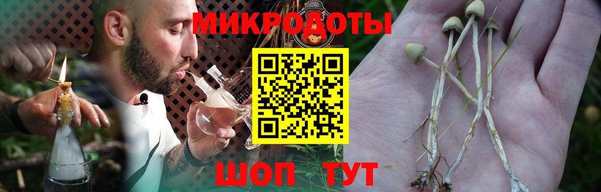 Галлюциногенные грибы прущие грибы  Вход с VPN  закладка  Псилоцибиновые грибы ЛСД  Всеволожск 