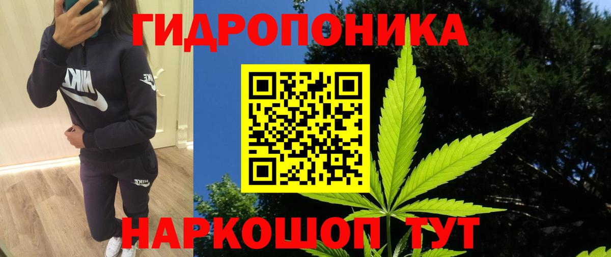 Бошки Шишки AK-47  Бошки марихуана SATIVA & INDICA  МАРИХУАНА Bruce Banner  Вход с VPN  Всеволожск  Бошки Шишки Amnesia 